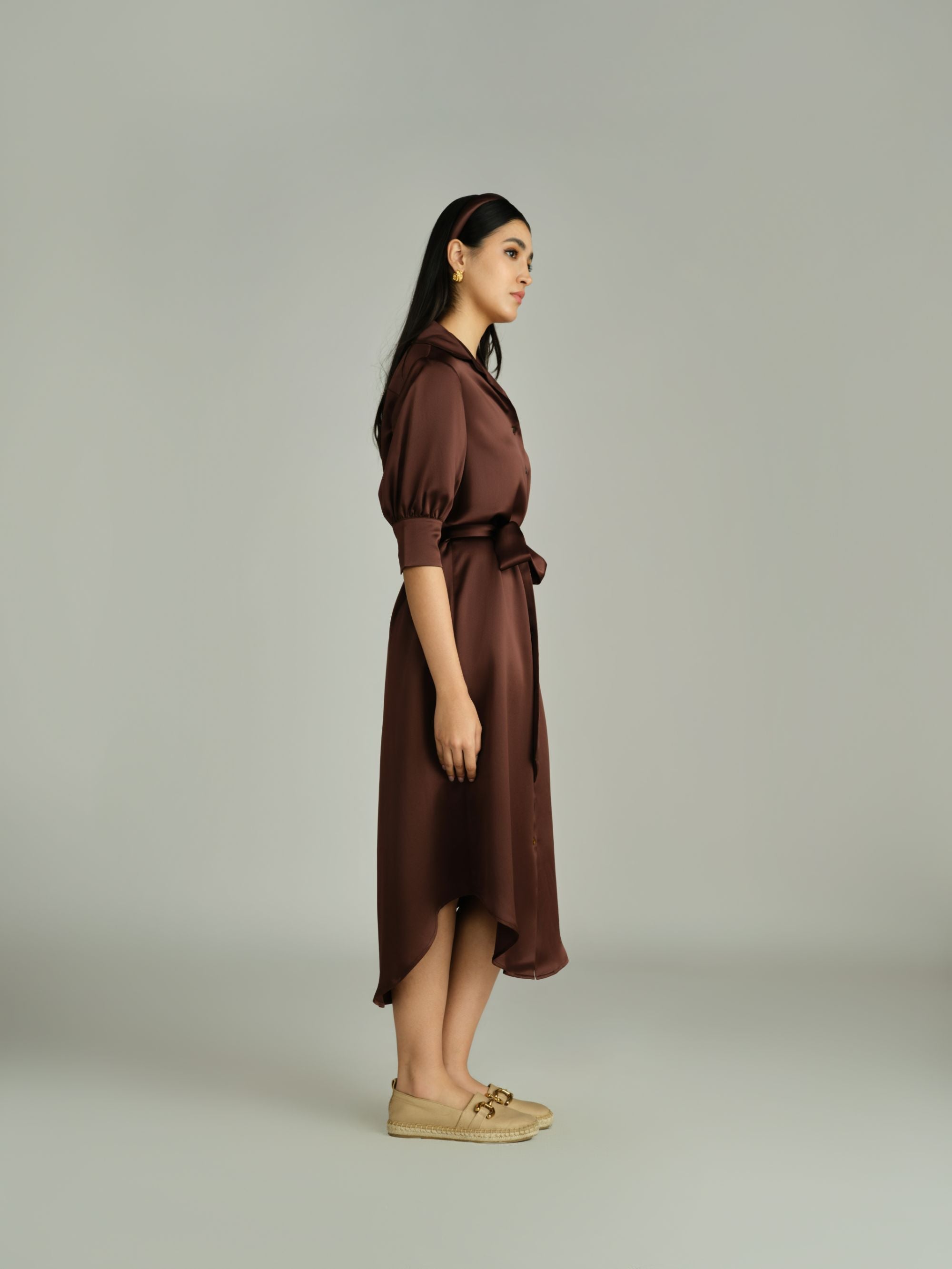 Espresso Silk Shirt Dress