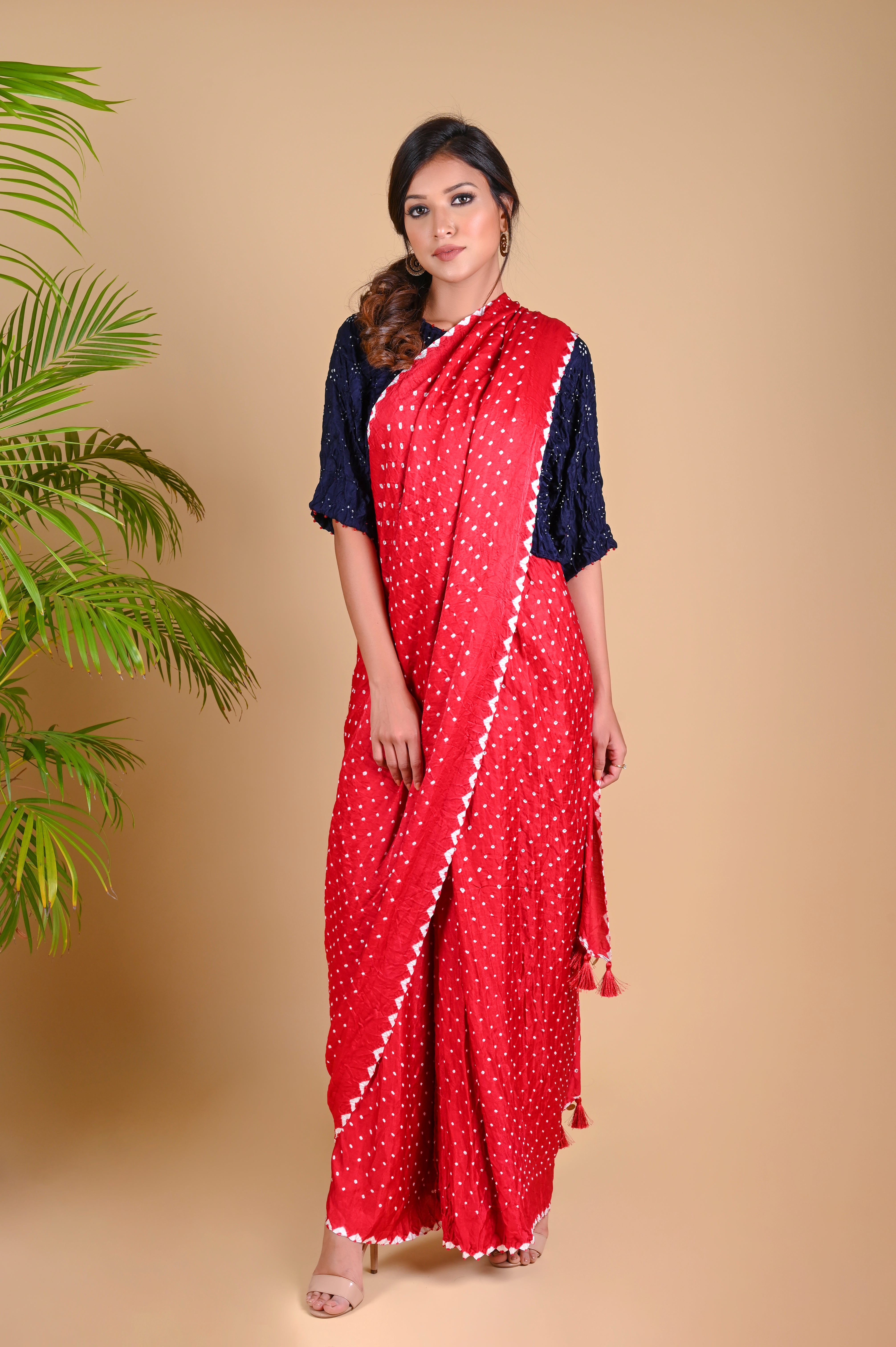 PANT SAREE