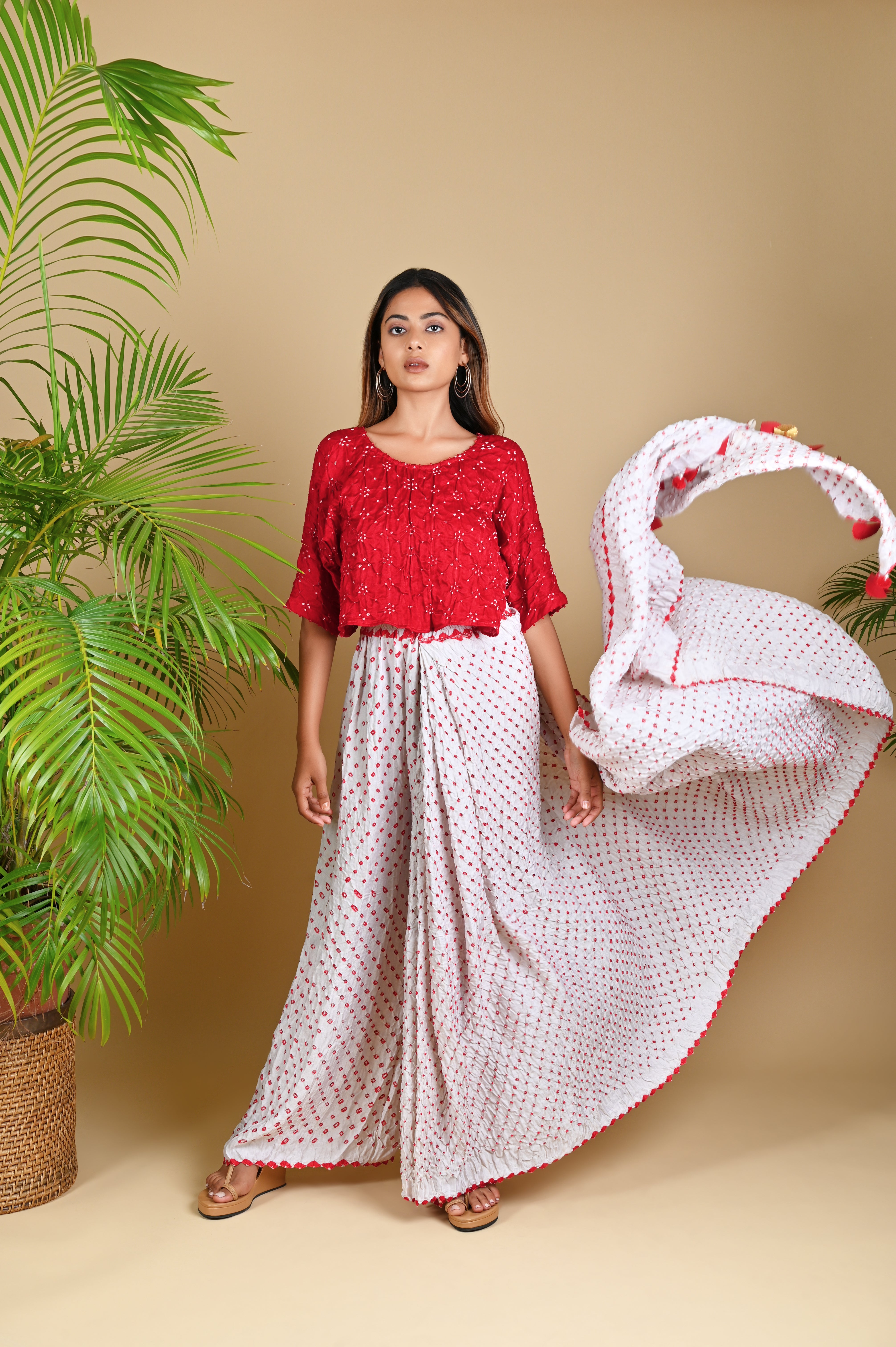 PANT SAREE
