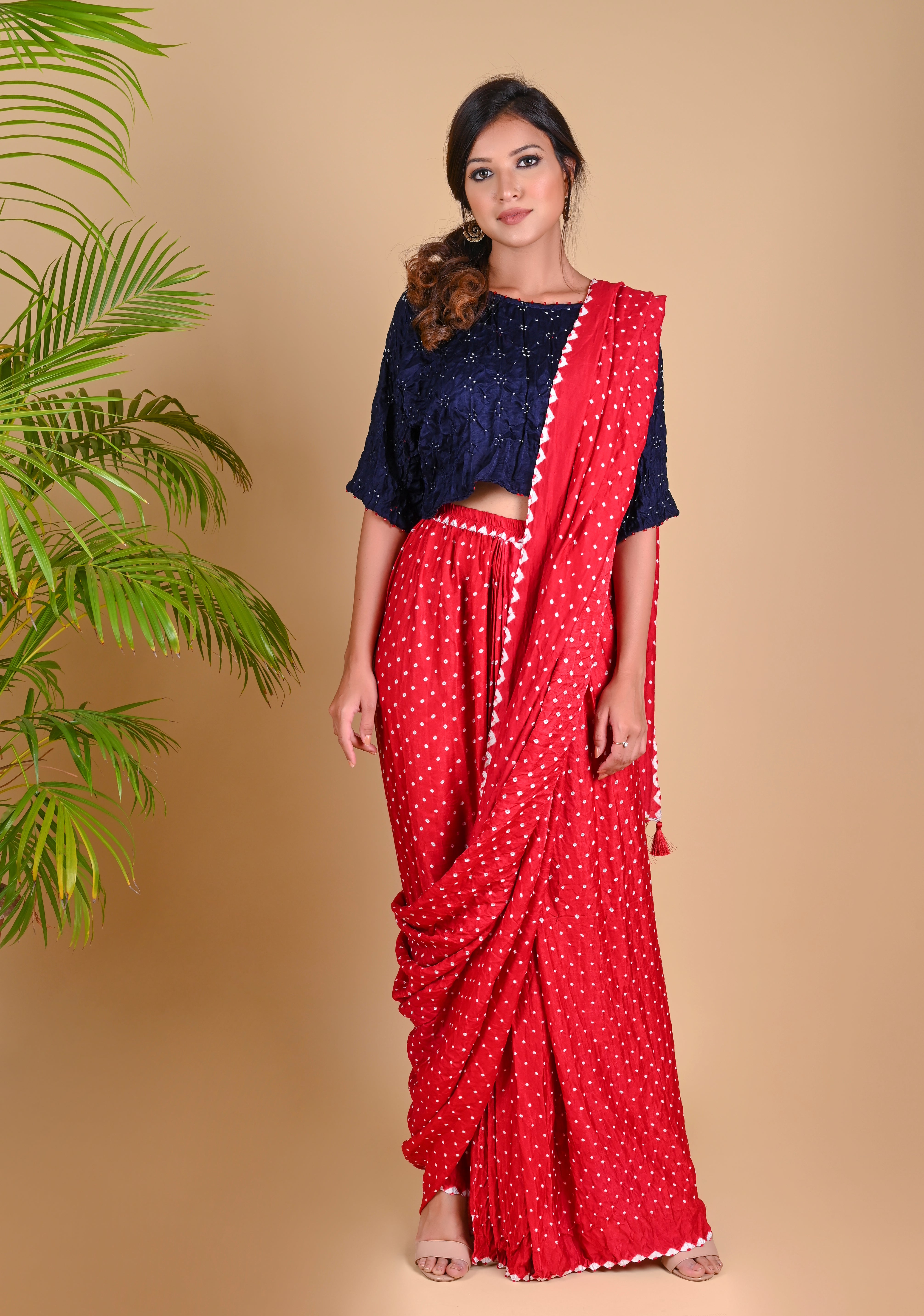 PANT SAREE