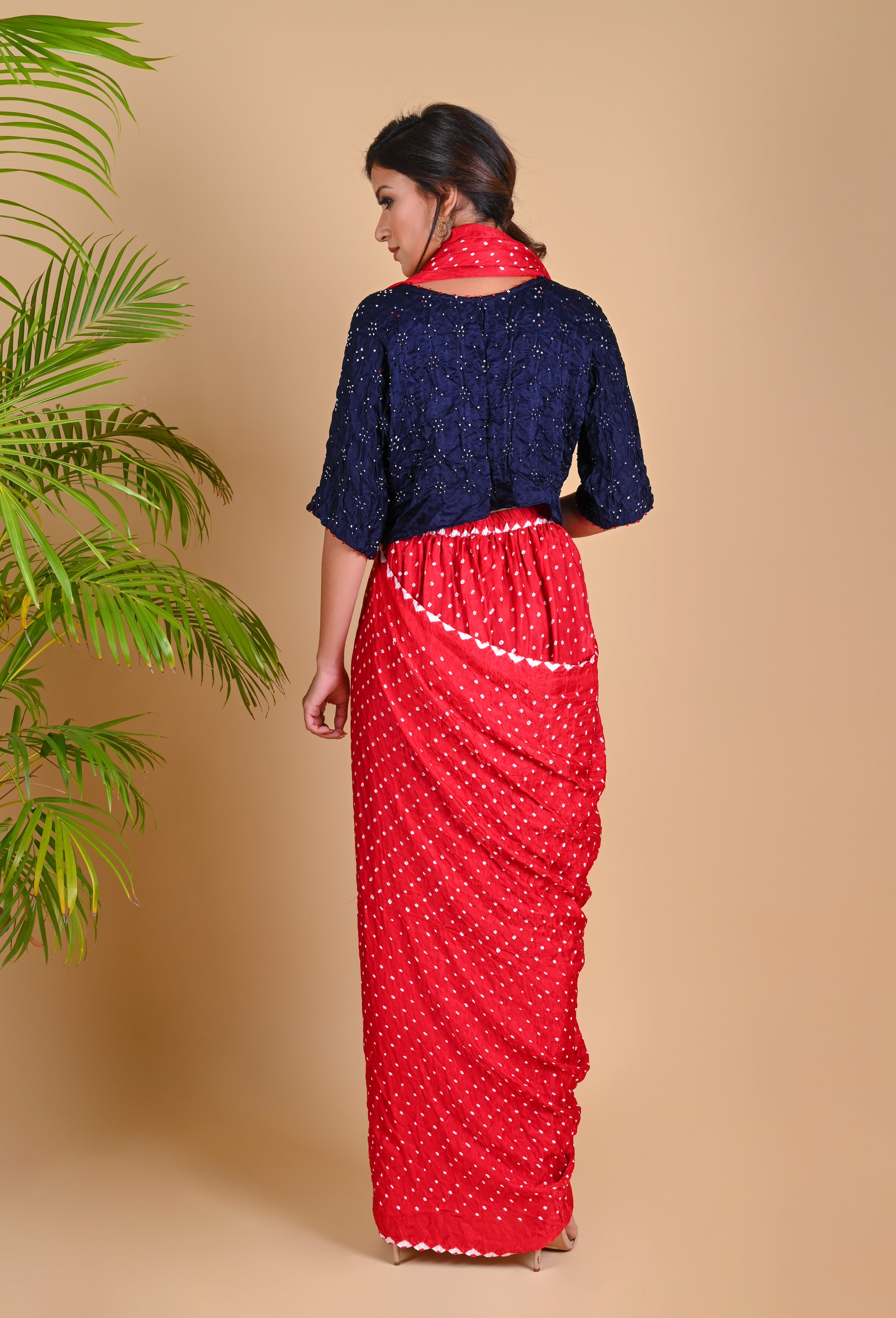 PANT SAREE