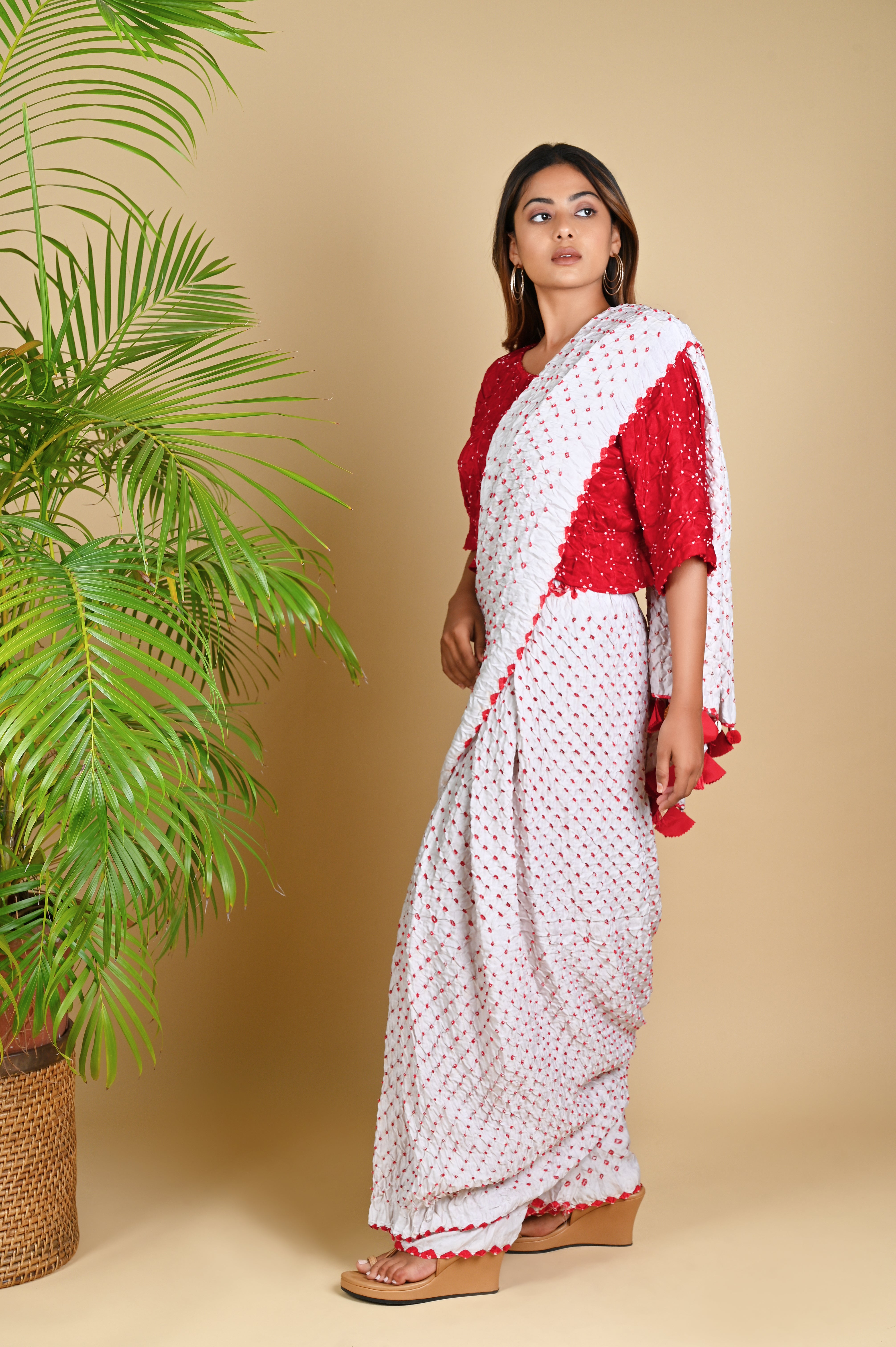 PANT SAREE